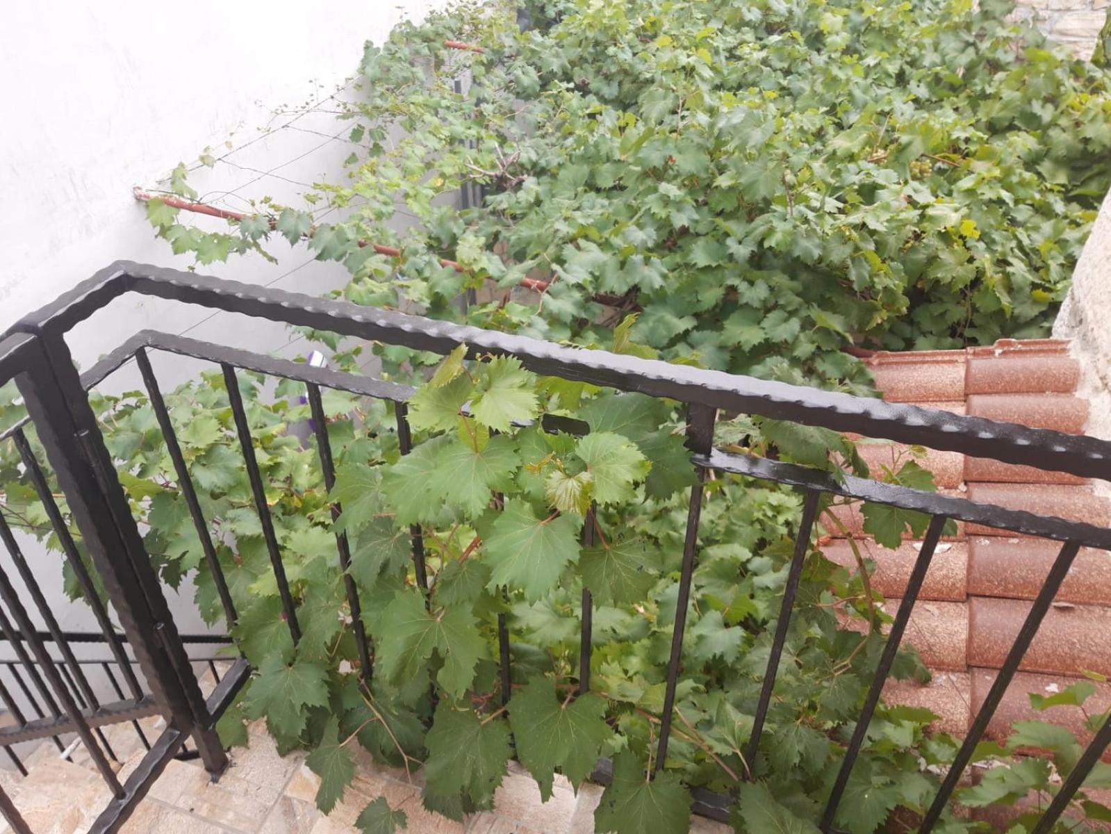 Melon-1, Murter, House For Rest Экстерьер фото